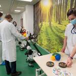 Immagine: VillaRosaNemo018