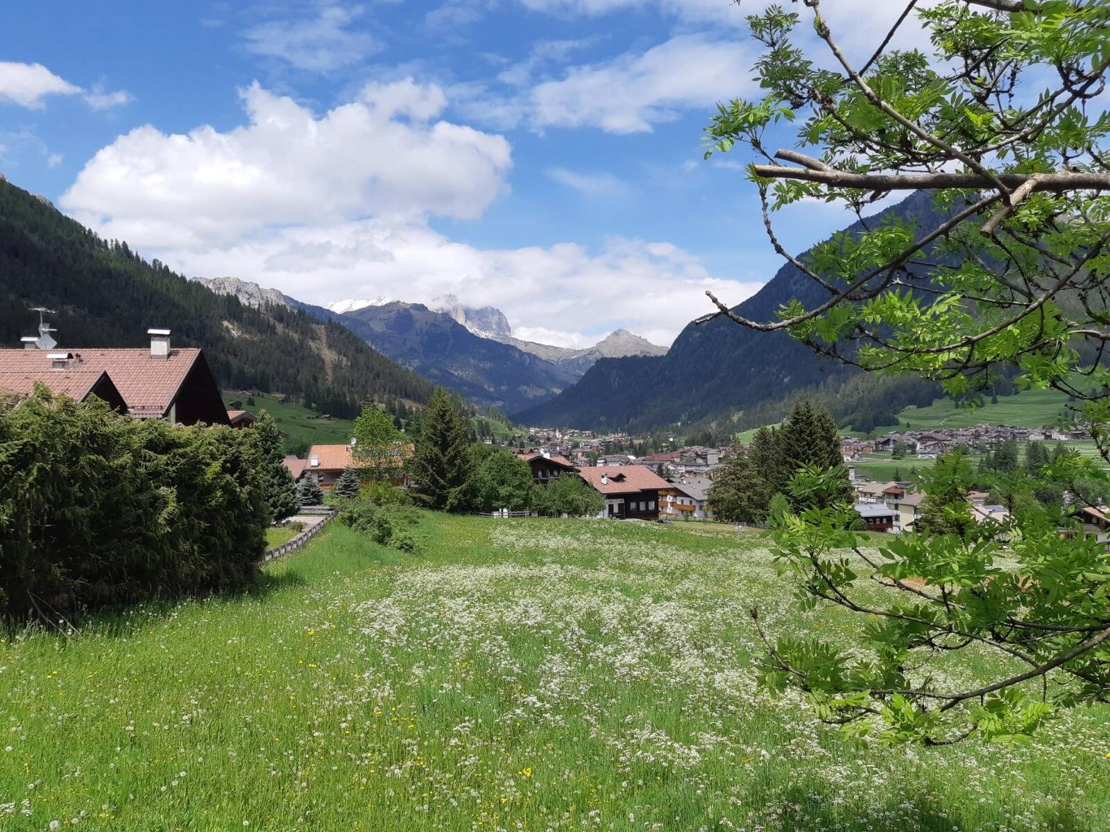 Immagine: WhatsApp Image 2021-06-15 at 14.01.00