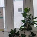 Immagine: WhatsApp Image 2022 09 07 at 16.23